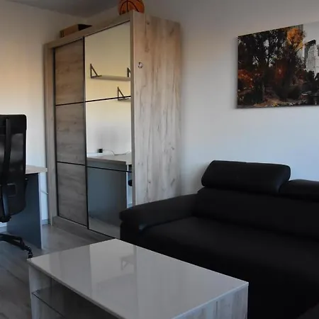 Comfortable Flat Near Center Of